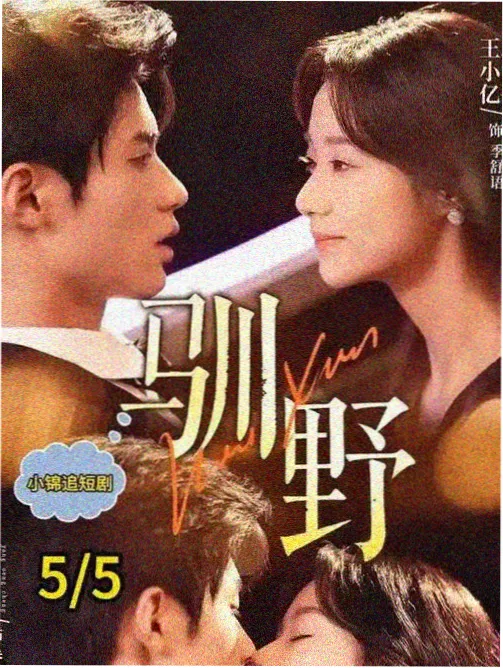 搜狗影视热门榜单十二层楼缩略图
